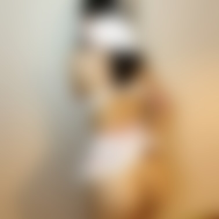 おしり撮影むずかし