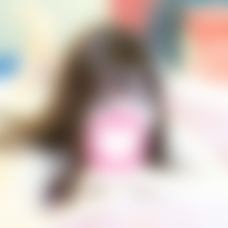 先日撮影させていただいた
早川夏美さん

いろいろ素晴らしいモデルさんでした✨

少し先ですが、
写真プラン