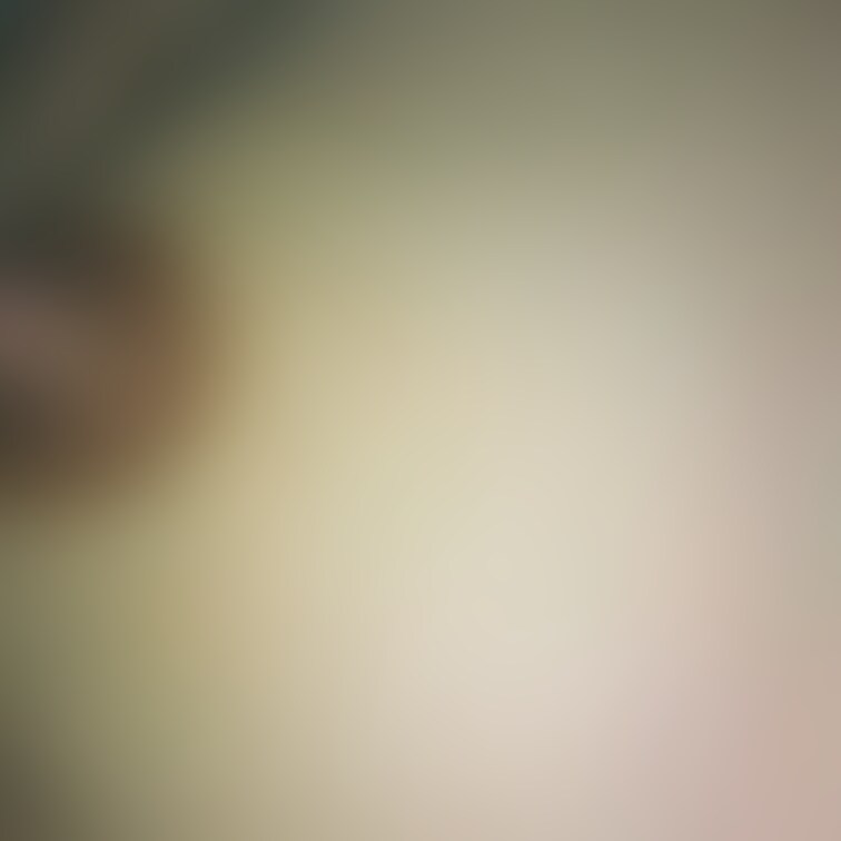 動画は後日投稿します😊