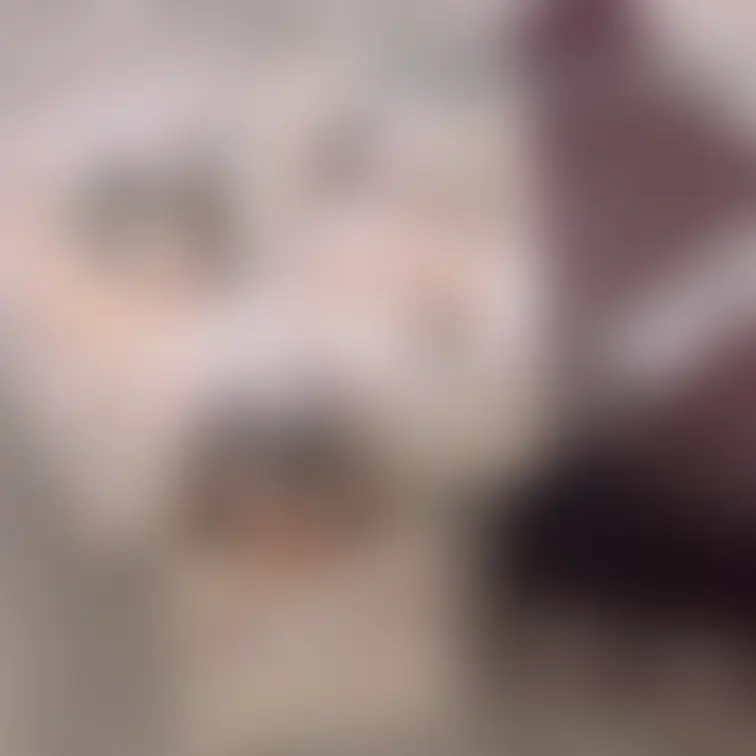 コミケ106ありがとうございました♡
急遽チェキプレゼントを決めたんですが、早い段階でプレゼント終了して嬉しかったです