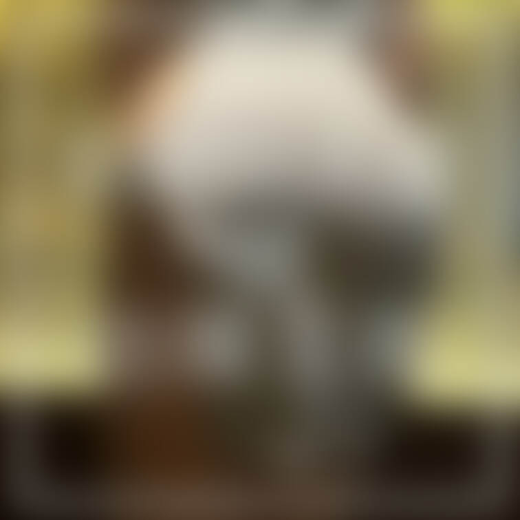 🤍🤍🤍