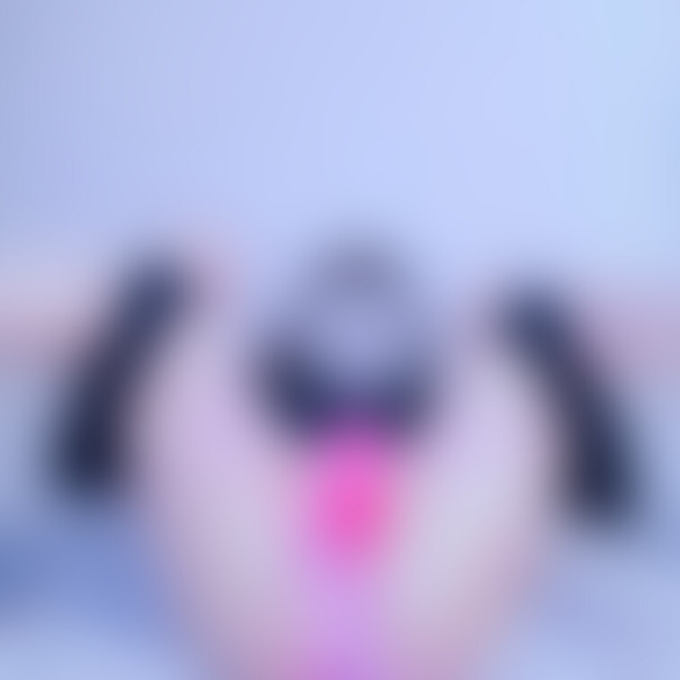 [R-18] 挿れていいのは週に一回