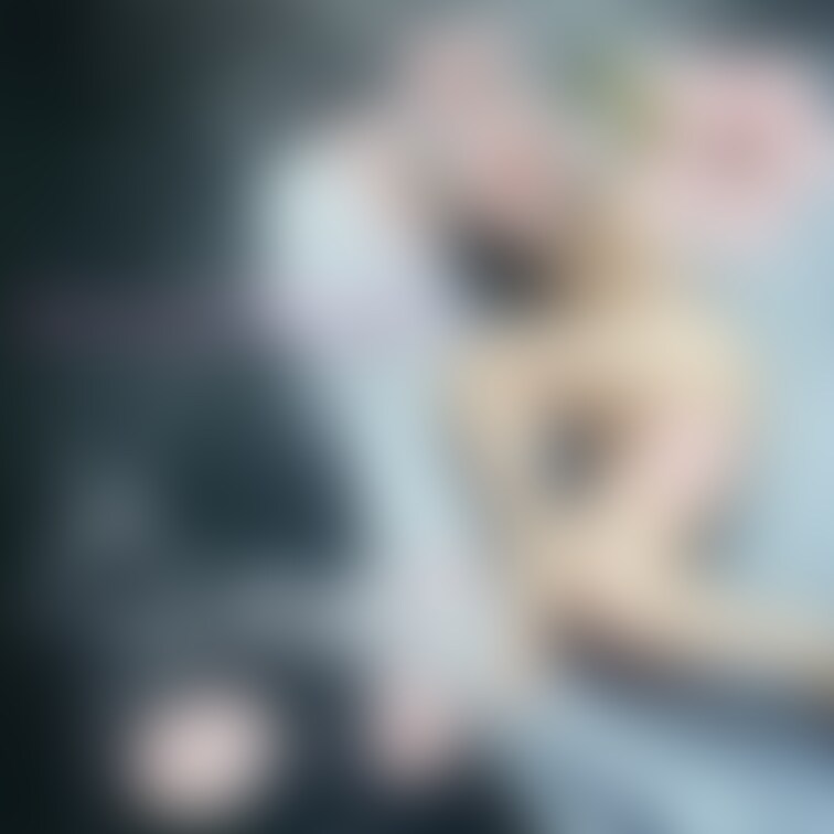 お花見開催？写真📸

もう少し暖かくなったら、お花見日和ですね😚

るーちゃん︎︎︎☺︎の花びら見ながらお花見と