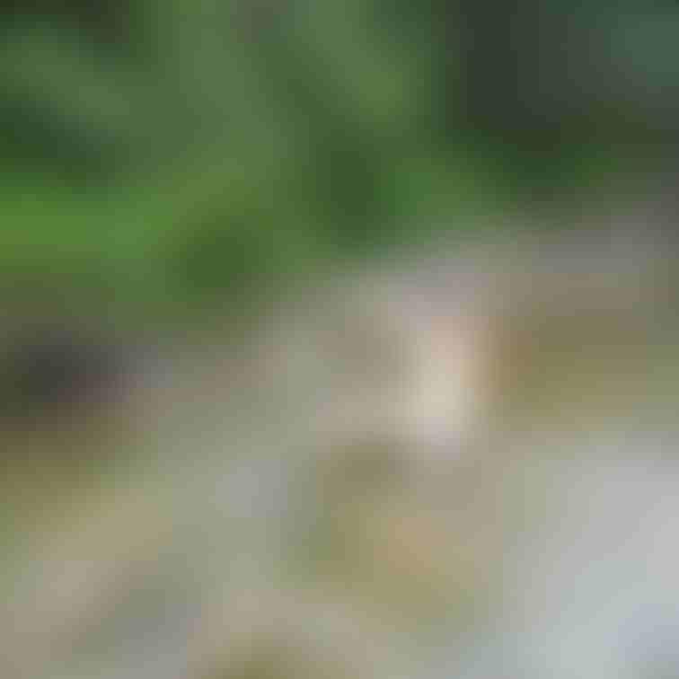 ヌーディストオフ会参加女性を兵庫県某所に連れ出して屋外で撮ってみました。これのバージョン違い（見えちゃってる画像）を30