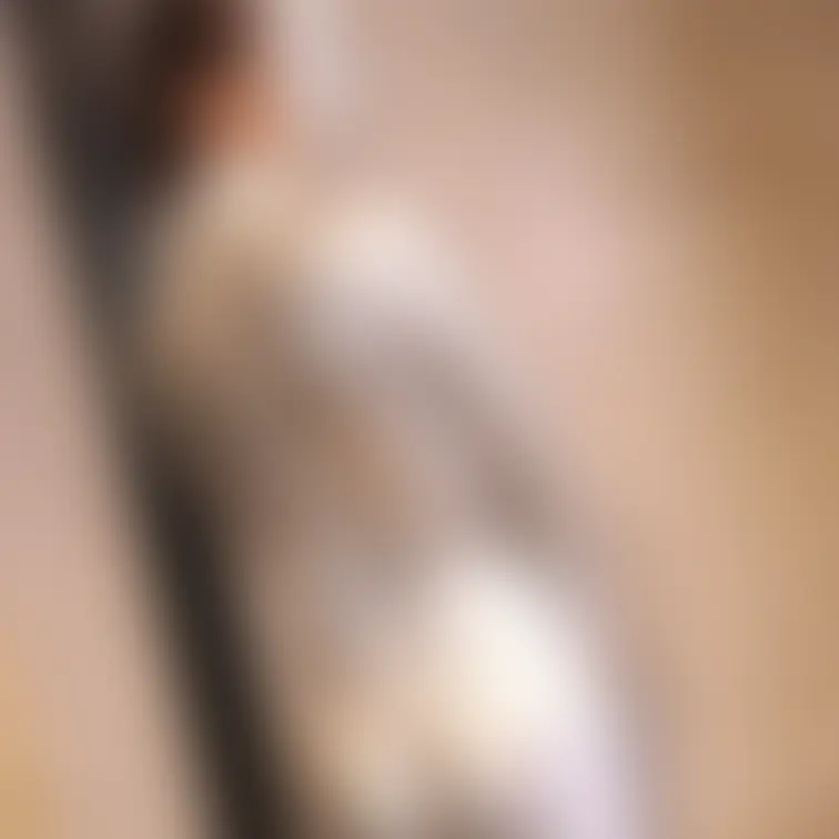 【あの超かわいいアイドル級美女のセクシー銀粉メッシー】
 これまで数回色々なメッシーに挑戦してきてくれたアイドル級の美