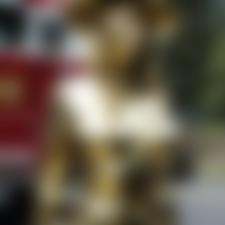 金粉消防士 / Golden bodypainted firefighter