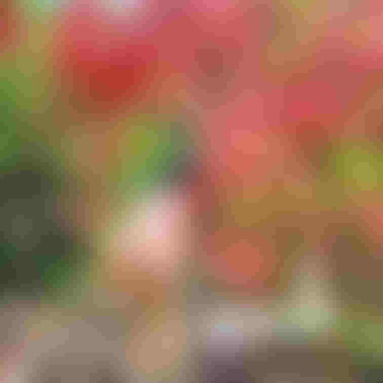 春が待ち遠しい☘️
暖かくなったら露撮もっと出来るね💕