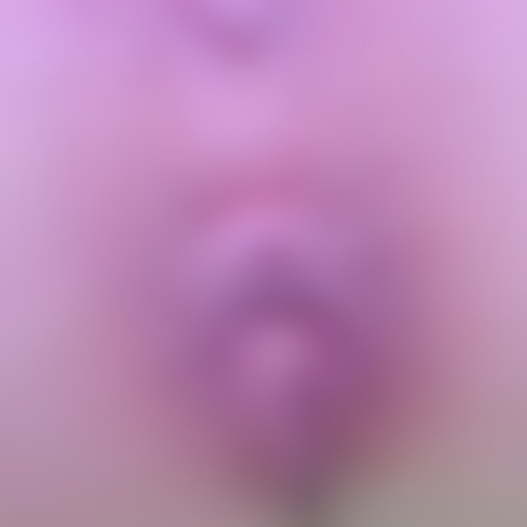 もきゅもきゅしてる