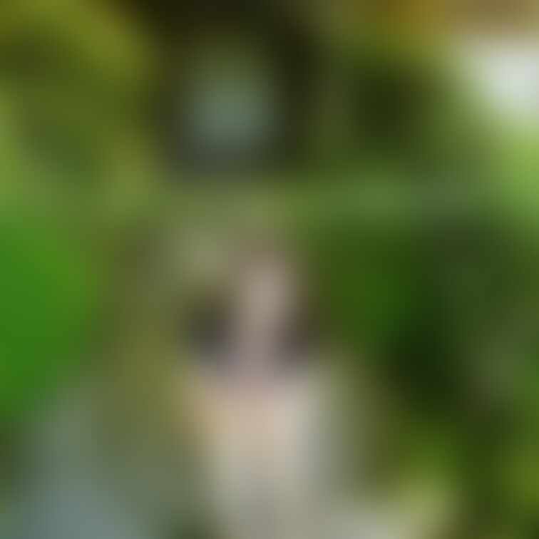 綺麗な庭園で・・・