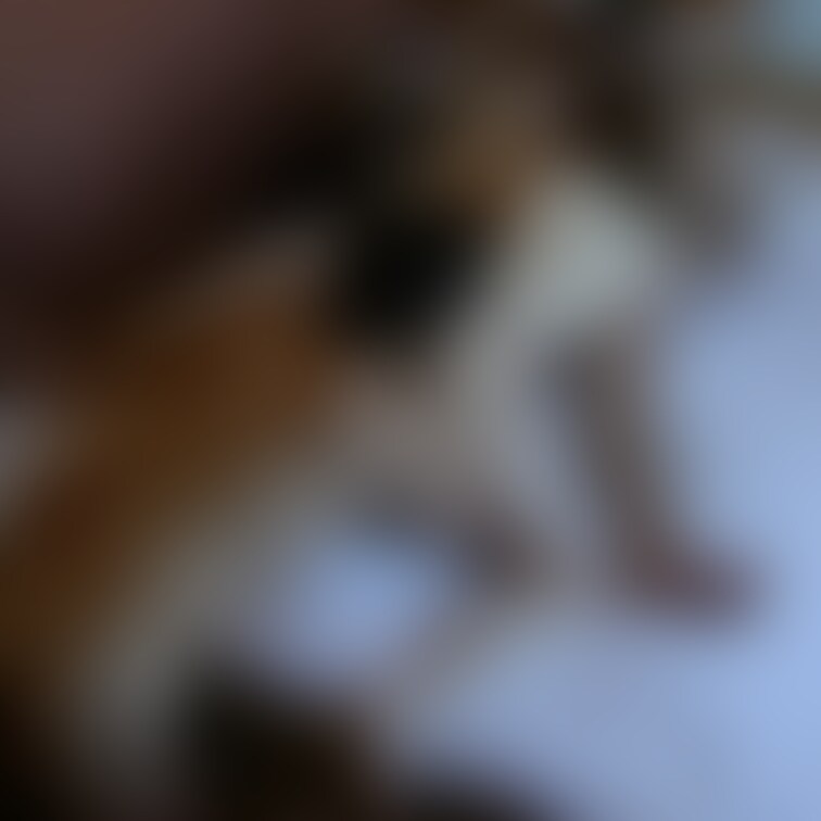 💓新作の画像💓
3Pプレイは楽しいですね🎉
クリンも満足しています🥰
今回は、ストレートなNTR&3Pです。数