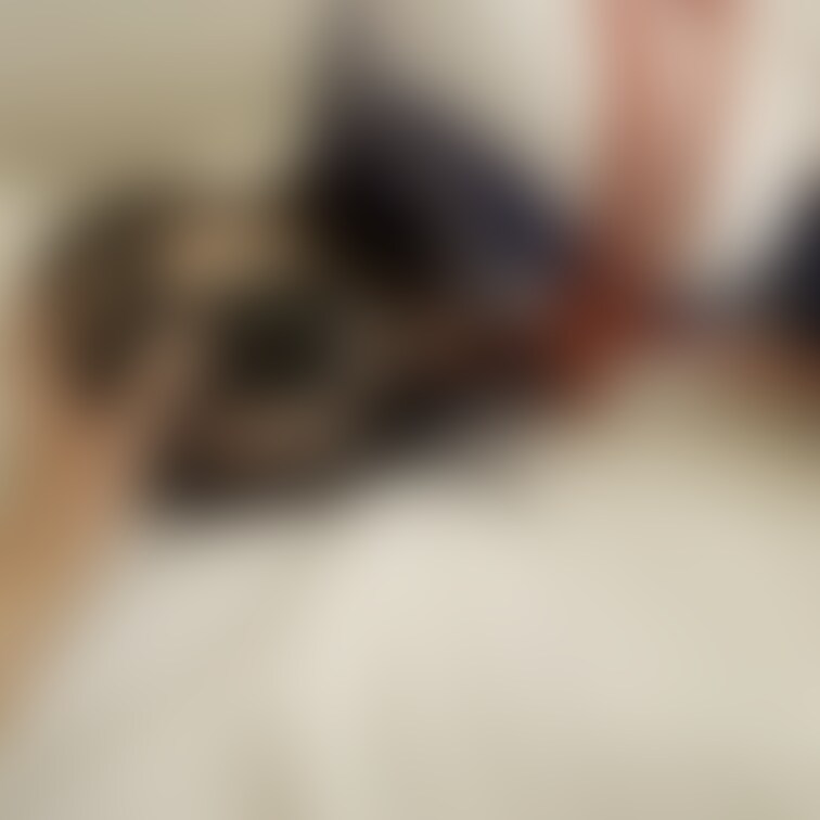 🎀ドM女装○○○顔面テープ○○○放置

ドM 女装○○○が顔面テープを貼られガチガチに縛られて電マ固定放置されていま