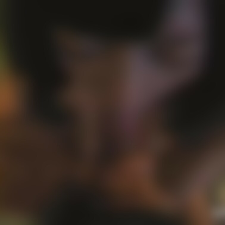 動画サンプル
無音、全ボカシ処理です。