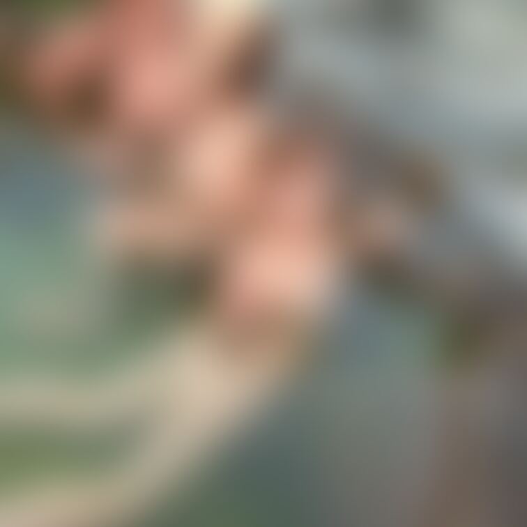 みんなで和気藹々と混浴を楽しんでいます♨️