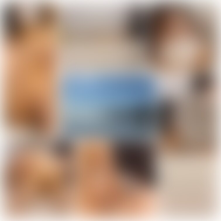 ☆四畳半でできること。

お楽しみに✨