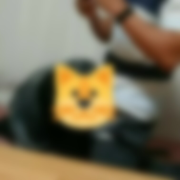 ボードゲーム会