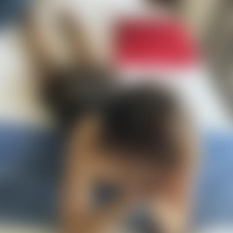 あらあら、、、困ったわねぇ、、
でもぉ、、元気、、うふふ。。