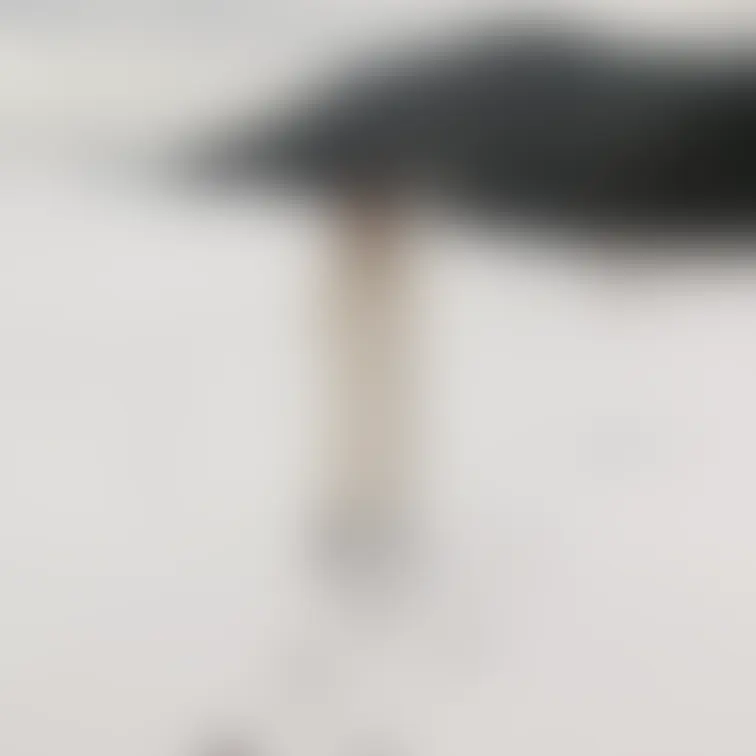 ボツ画たち
極寒の雪景色の中で頑張って撮りましたが､､､ボツ！笑