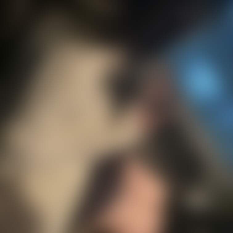 無料プラン