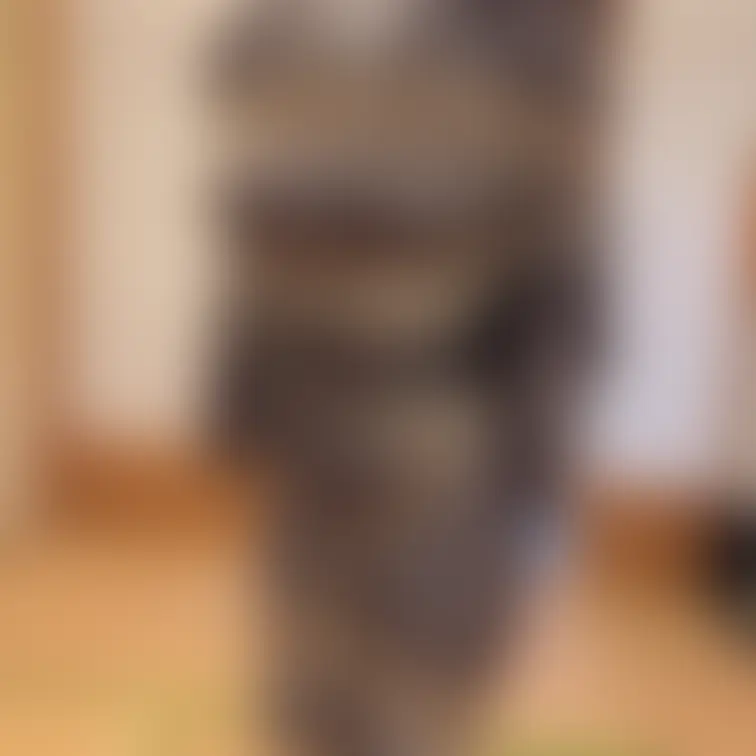 着物美人