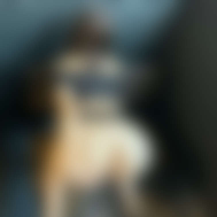 公園の男子公衆トイレでおもちゃ挿れてオナニーしてます😖❤️知らないおじさんが近寄ってきて見られてます😖❤️ 

💋直