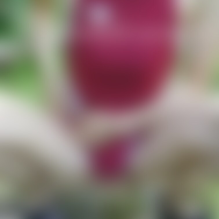 2022/11/27AM00:00！
オシッコ画像見放題プラン発動！