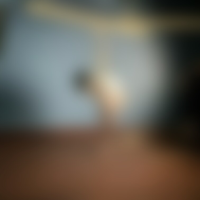 ○○○撮影