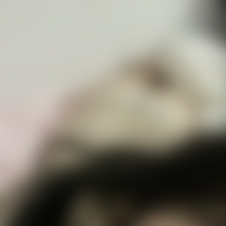 お尻かわいいかな?
さわりたい?