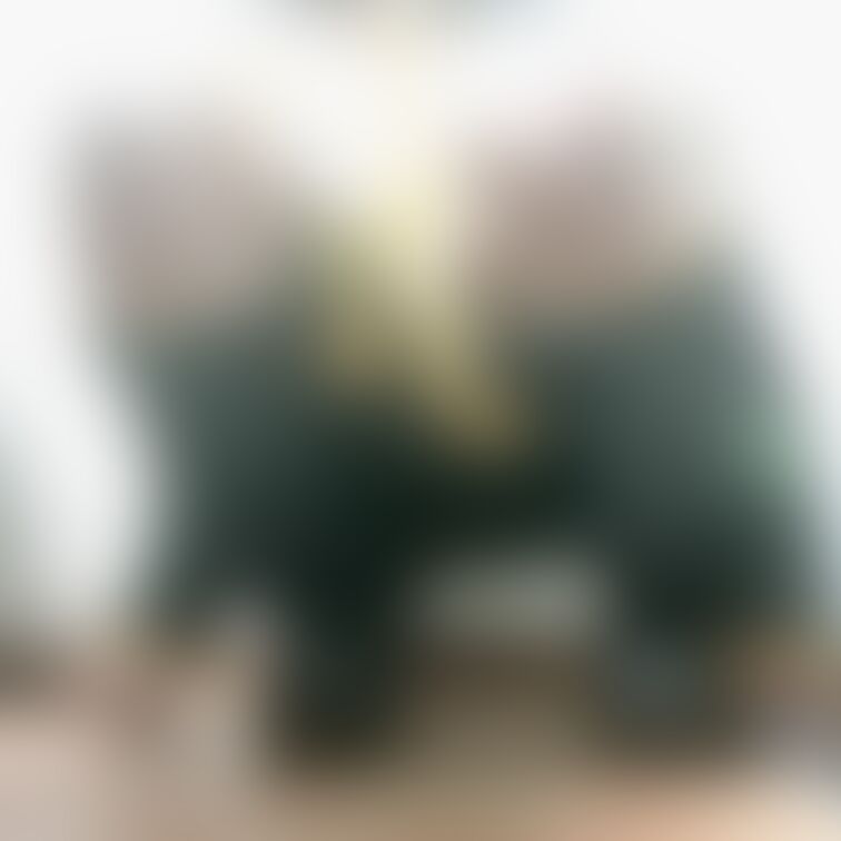 続き
