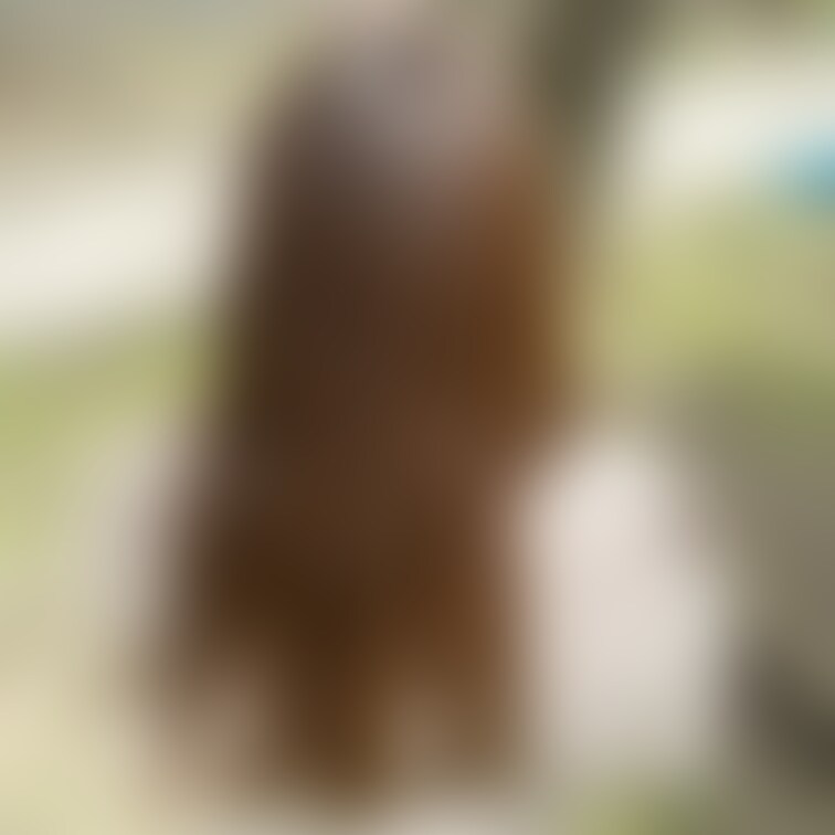 ご新規さん
保育士20代、美髪すぎました☺️💕