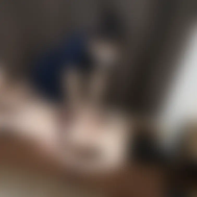 ★いいね👍🏻を押して応援してください★

Relaxation＆Spa【猫の手】です。

本日も心を込めて営業中
