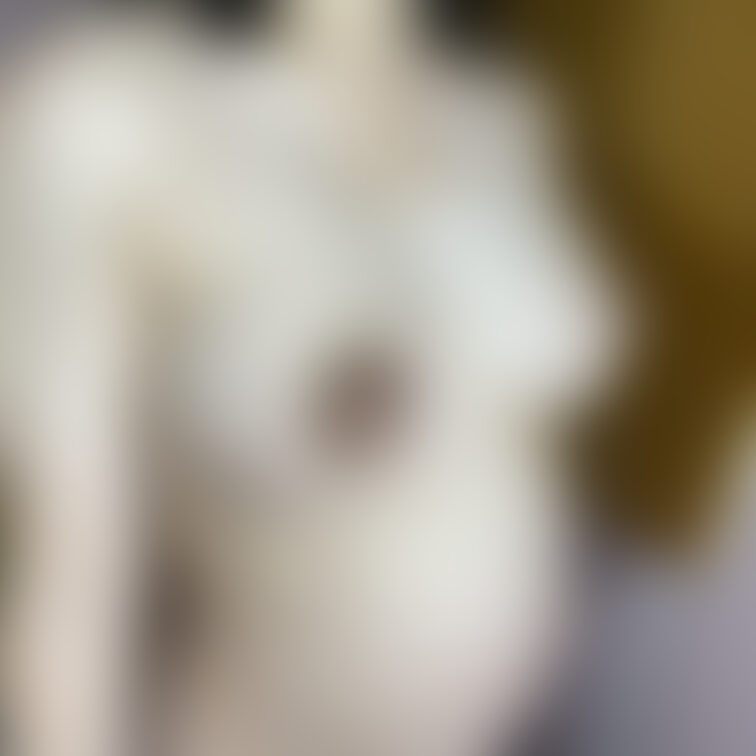 ○○○国宝おっぱい、国宝妊婦りかちゃん