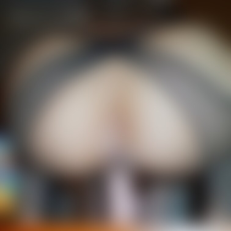 綺麗に撮ってもらったやつ