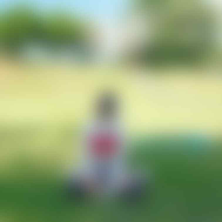 こんなゴルフを一緒にラウンドしたい方はいませんか？