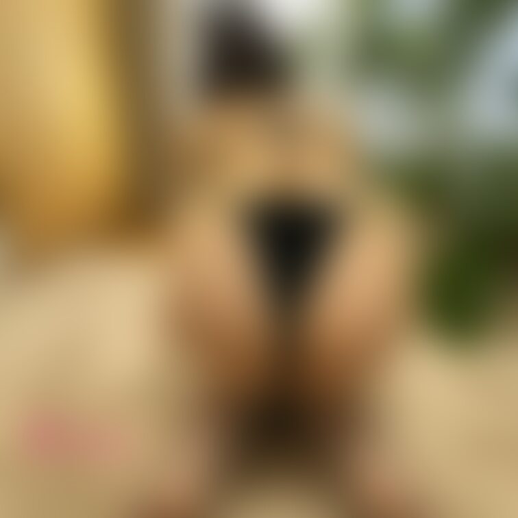 Mikuのおちり🍑
もっともっと見たい人はこっちね🥰💕
さらにドーン💥って感じ🤗💕