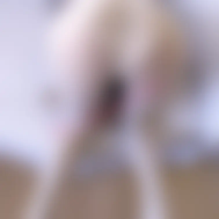 寒すぎるから…
これで許してね💖
擦って温めて٩(๑❛ᴗ❛๑)۶