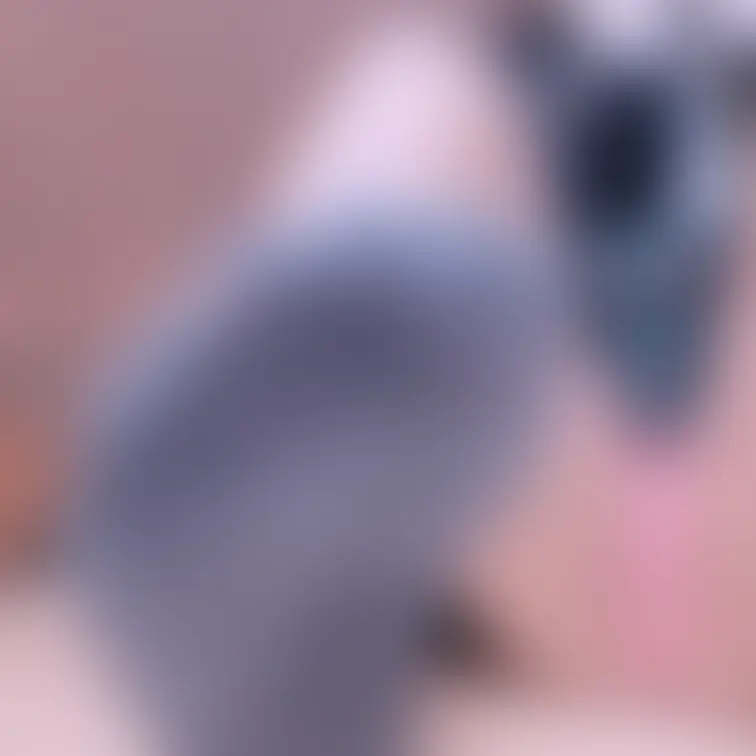臭い靴下クンクンしながらシコシコしてね?