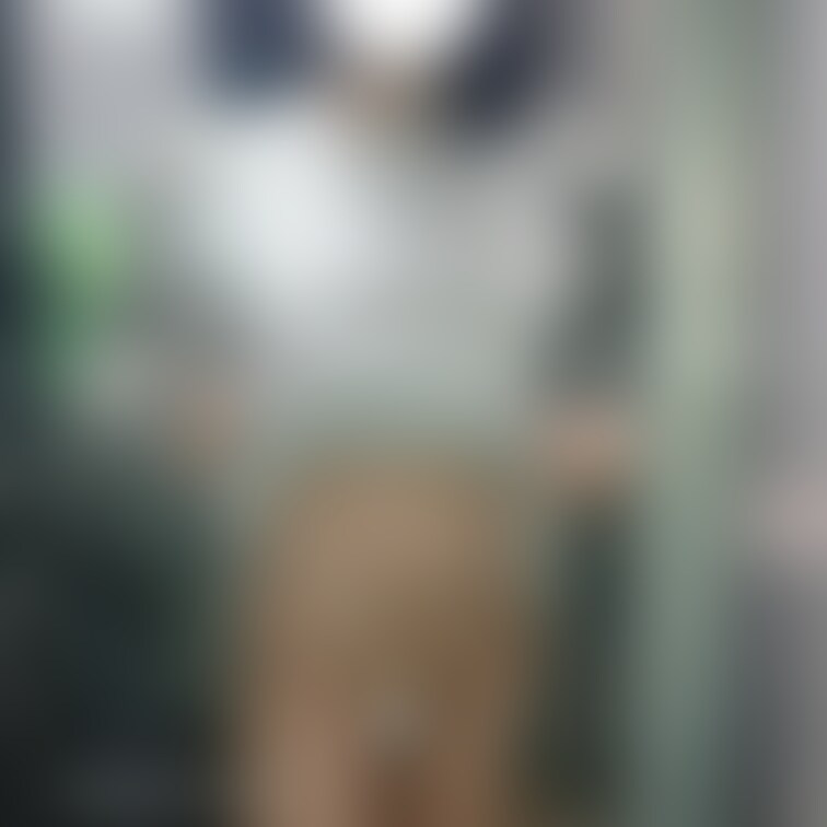 この後すぐに人通りました、、

見られちゃったかな…(  ；･᷅-･᷄ )