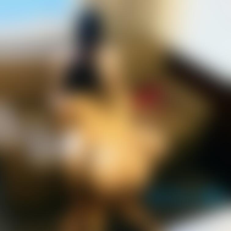 更には単独さんのパンツを脱がせてフェラを始めちゃいました🤤
旦那のチ◯ポは舐めたこと無いのに、落札してくれたダンドクさ