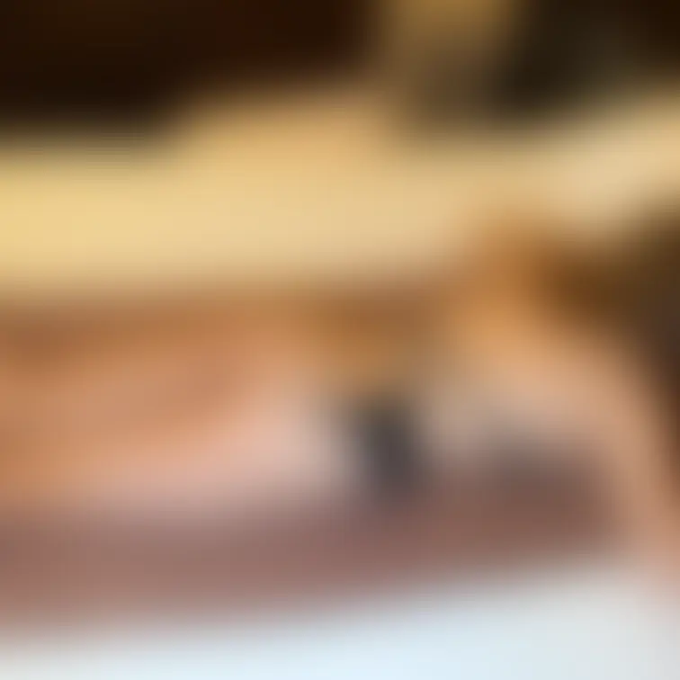 【ここだけのひみつのがぞう②】 Cプランの方のみに特典画像です!
【白濁すらいむ】崩〇スターレ〇ル、アグ〇イアJcup