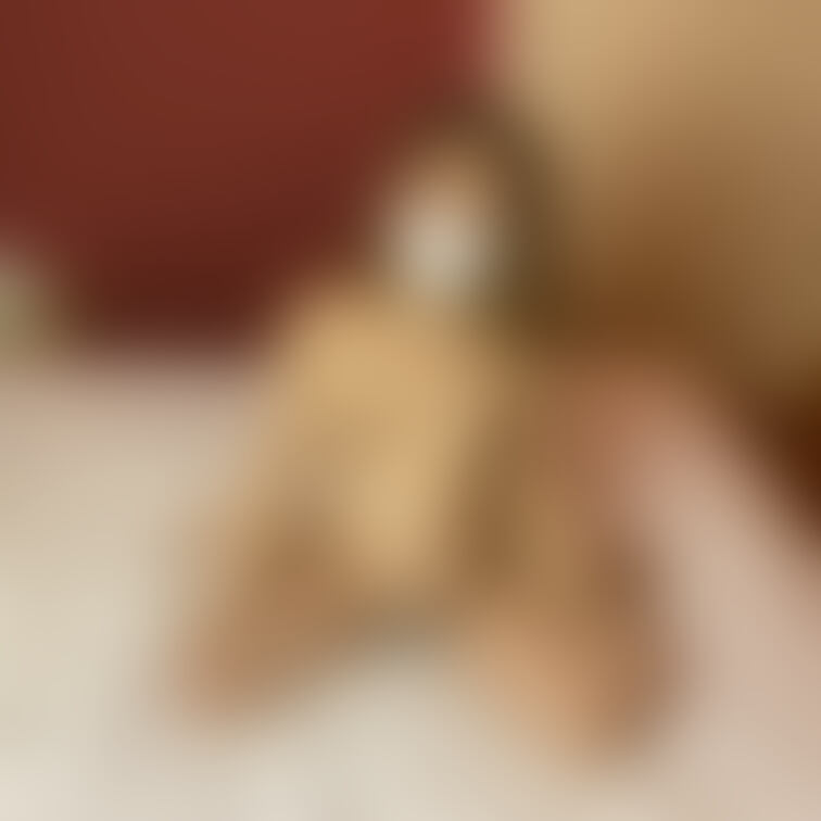 ギャル妊婦アゲハちゃん