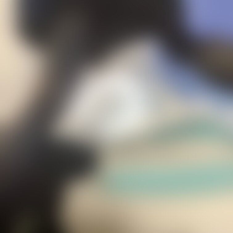 ぱんてーとぱんちら