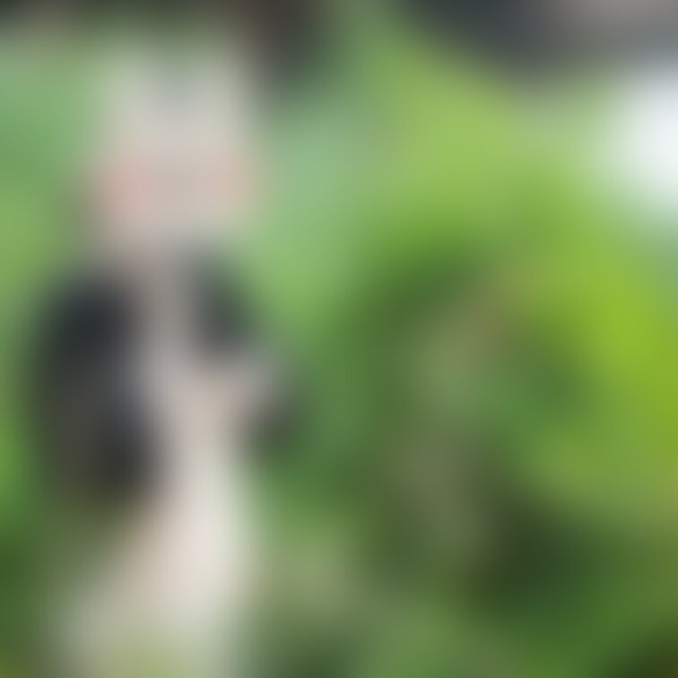 わたし、このモデルさん(匿名)の
おっぱい大好きなんです♥♥♥
「わかる~♥」って方、いいね👍よろしくね