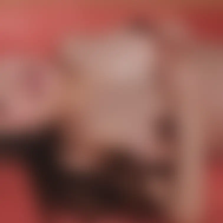妊婦さんの写真集 発売！