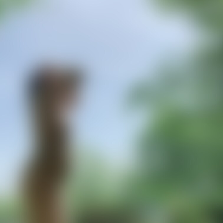 天気のいい日はお外で遊びませんか⁉️