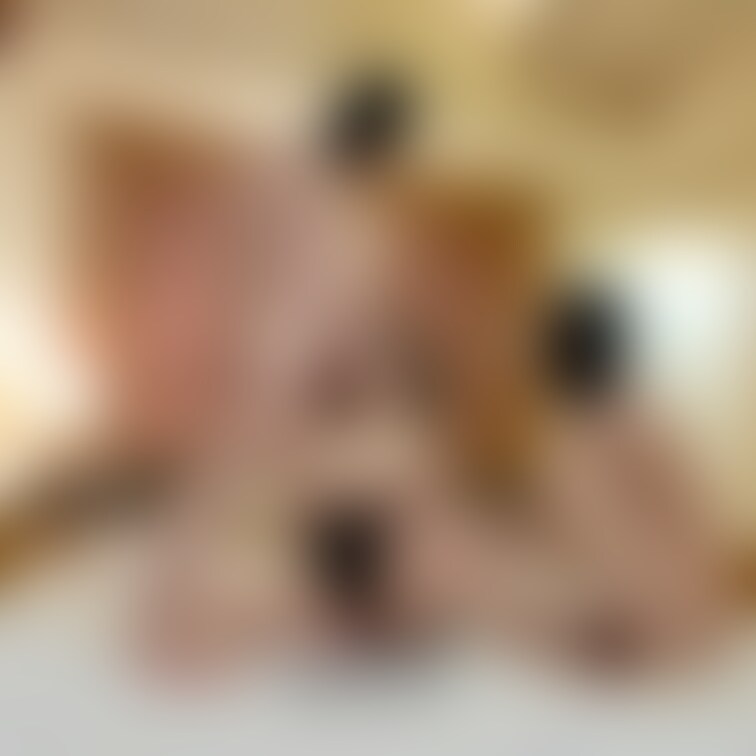 前回の巨根さんとの3Pの様子です♡
No,6~No,10