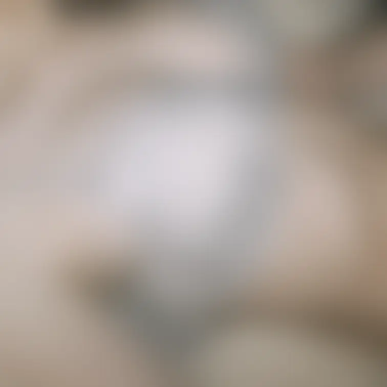 今日の