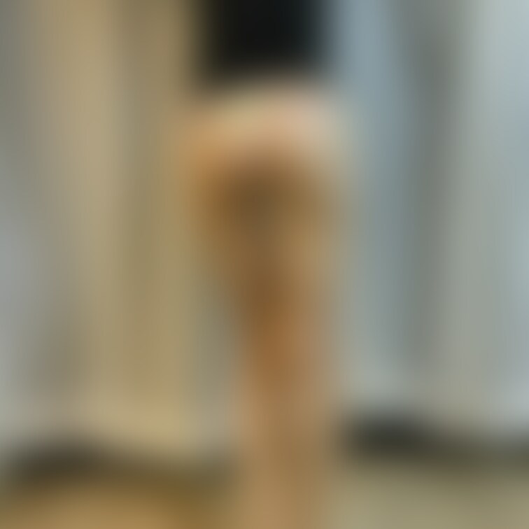 ギャル下着妻