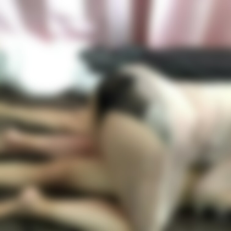 ［ファン限定フル動画］🎁

【素人】仕事休みの夫婦のラブSEX。