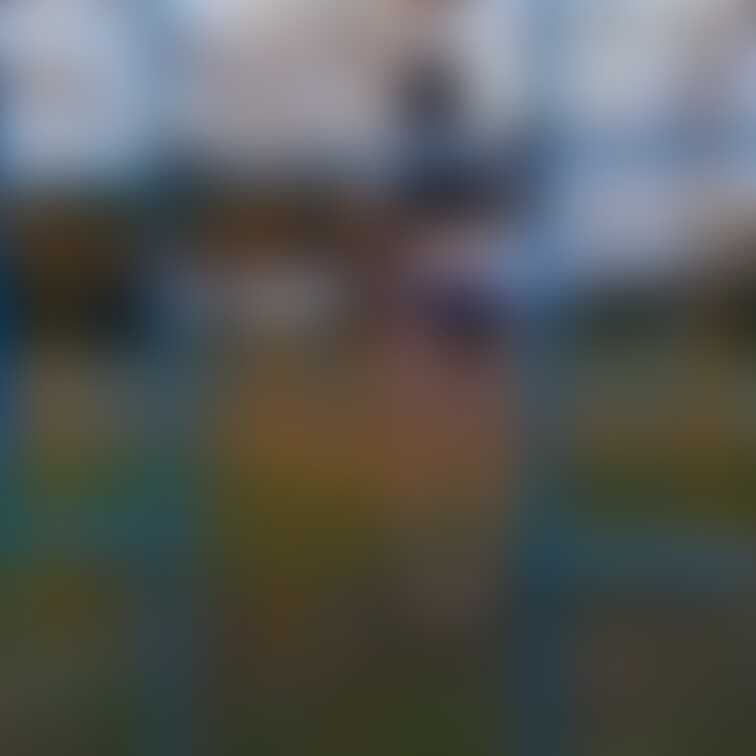 露撮りした時の写真です