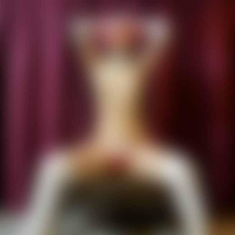 今月はサンタコスだらけで